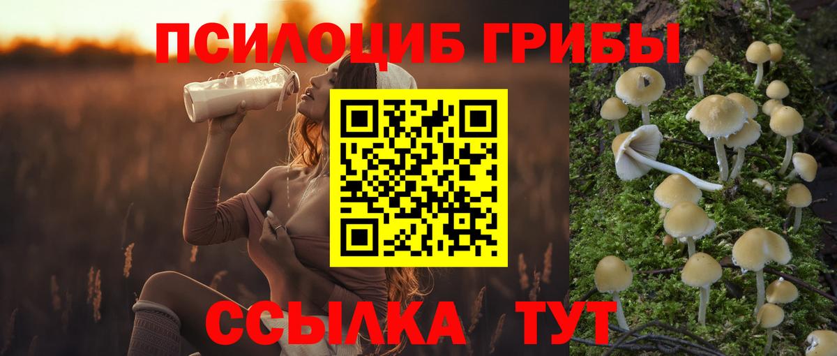 Псилоцибиновые грибы прущие грибы  Вход с VPN  Озёрск 